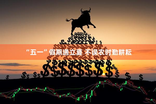 “五一”假期遇立夏 不误农时勤耕耘