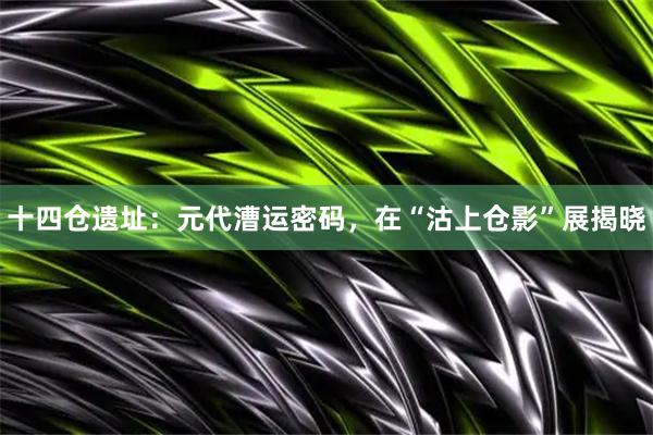 十四仓遗址：元代漕运密码，在“沽上仓影”展揭晓